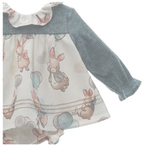 Baby Girls Bunny and Balloon Dress Set